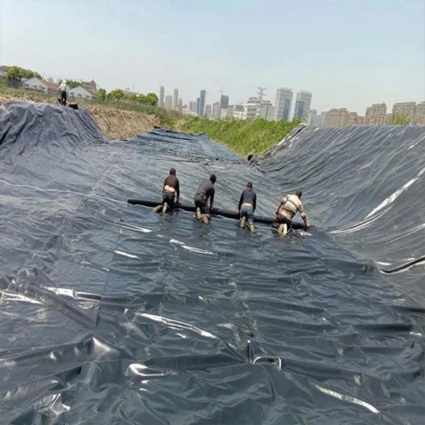 HDPE Geomembranes for Fish Pond