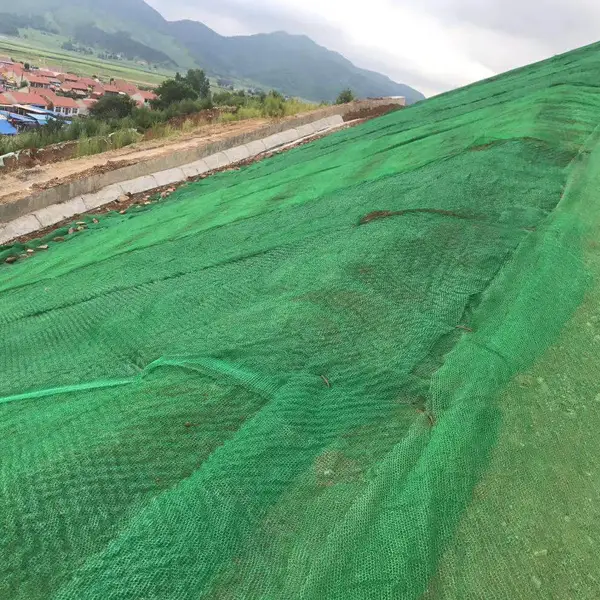 Geomaterials for Slope Protection