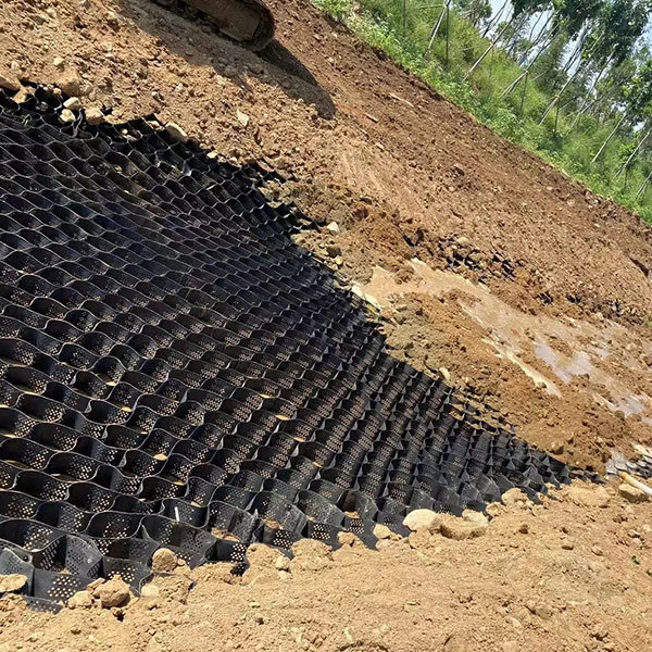 Geocells for slope protection ecological restoration