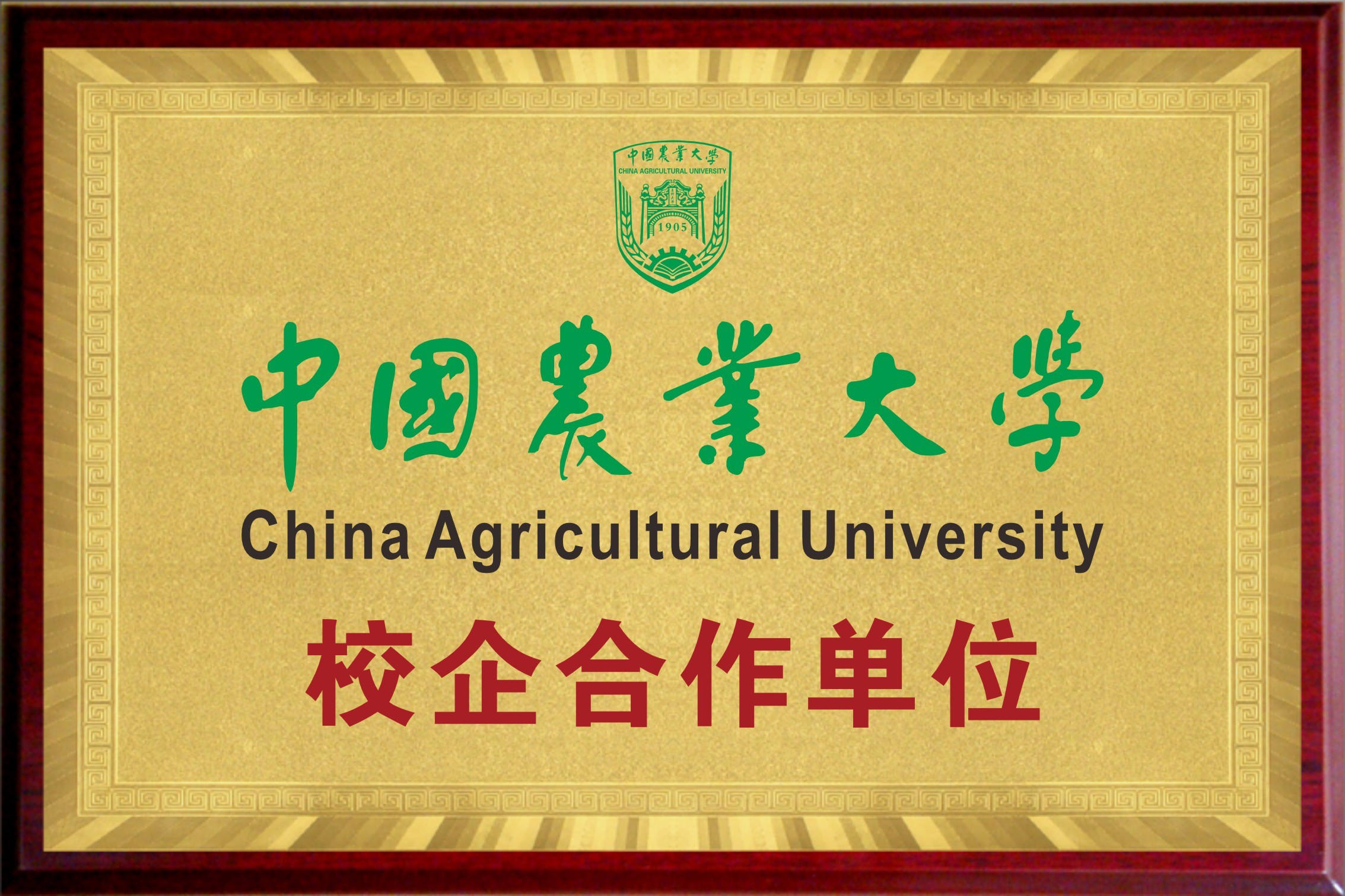中國震業大學 China Agricultural University 校企合作單位