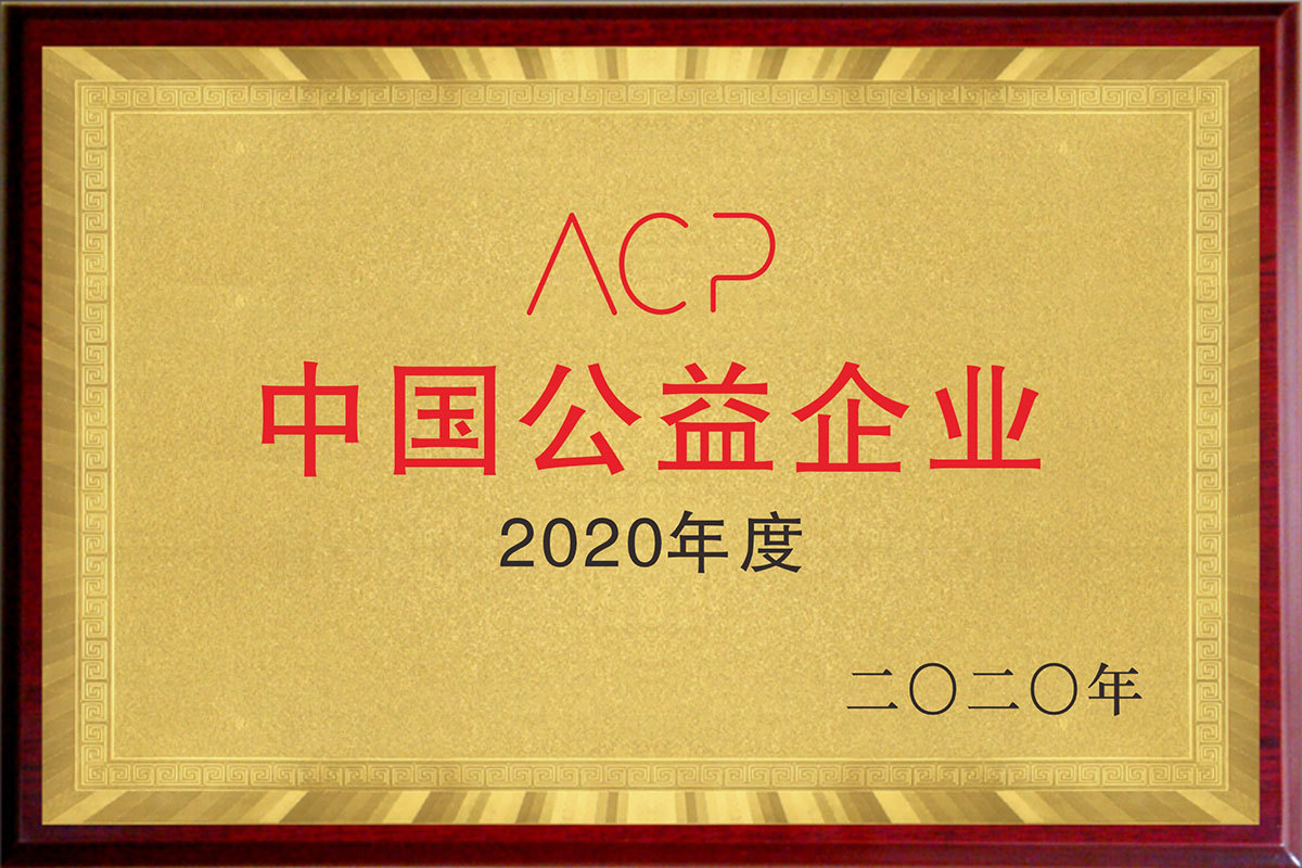 中國公益企業