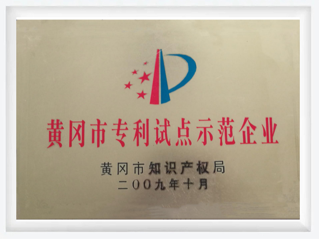 黃岡市專利試點(diǎn)示范企業(yè)