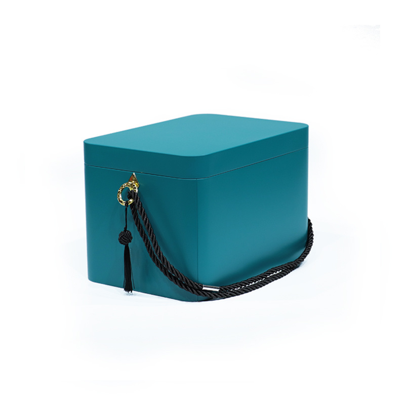 Suitcase & Carrying Case