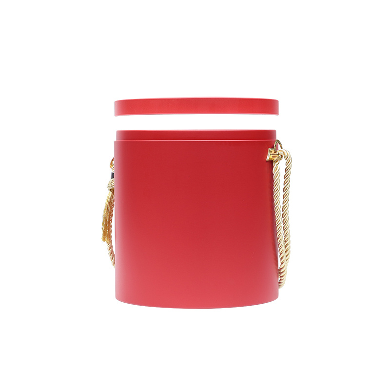 Suitcase & Carrying Case