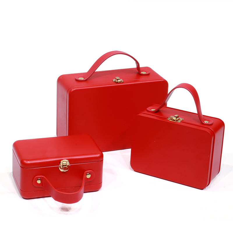 Suitcase & Carrying Case
