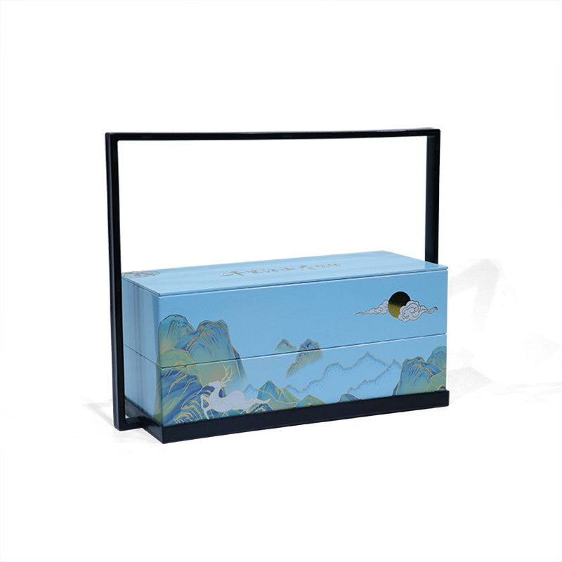 Suitcase & Carrying Case