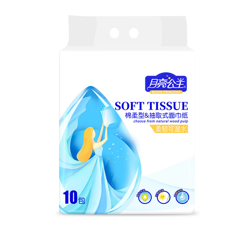 Moon Princess Pocket Tissue