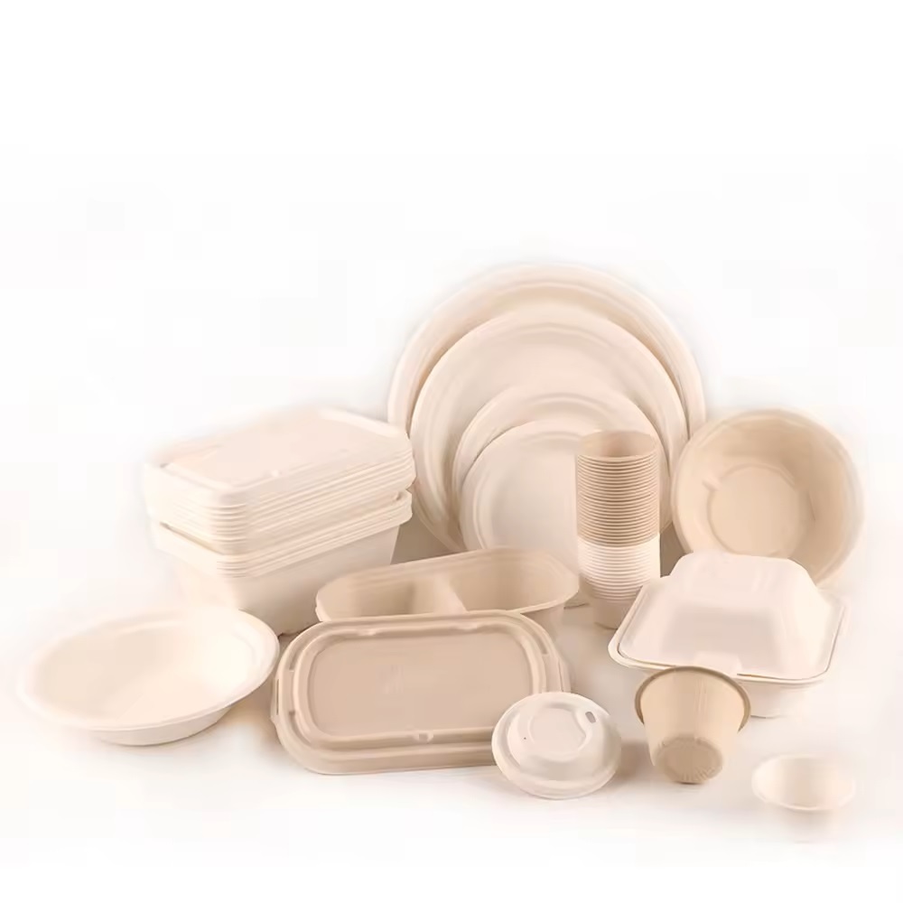 Eco-friendly tableware plates and dishes takeaway packing sauces multi-compartment biodegradable pulp bagasse lunch boxes