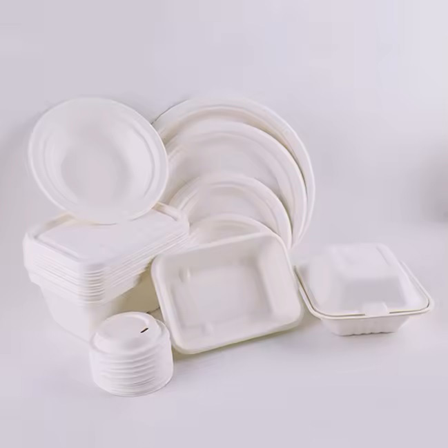 Hot Sale Eco-friendly Biodegradable Disposable Bagasse Food Packaging