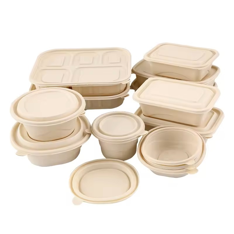 Costom printed paper pulp takeaway sauces packing tableware multi-compartment bagasse pulp biodegradable lunch boxes