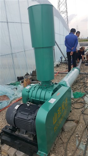 150型三葉羅茨風機威海工作現(xiàn)場