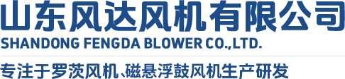 山東風(fēng)達(dá)風(fēng)機(jī)有限公司