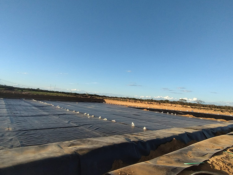 Geomembrane
