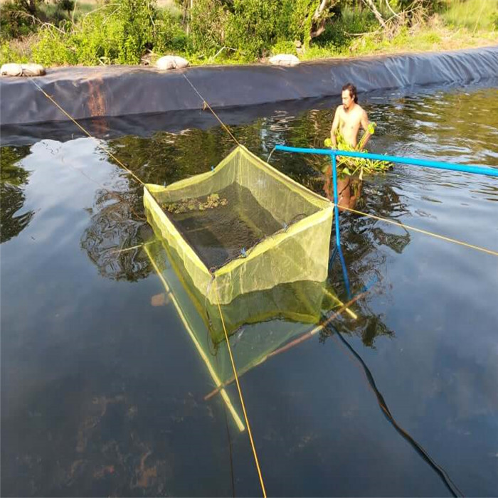 Geomembrane