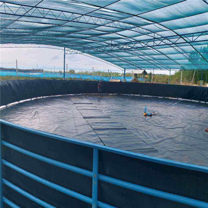 Geomembrane