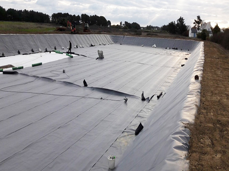 Geomembrane