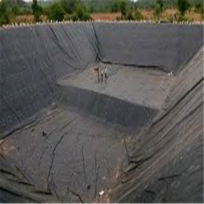 Geomembrane