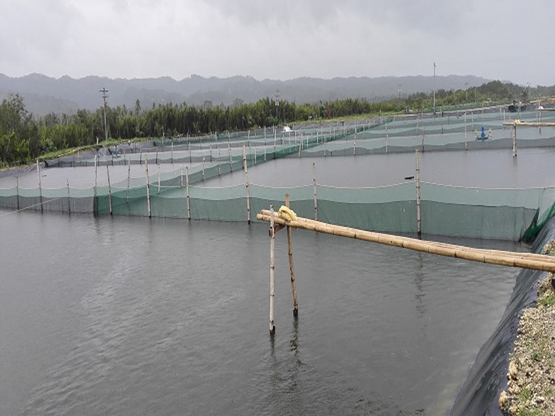 Geomembrane
