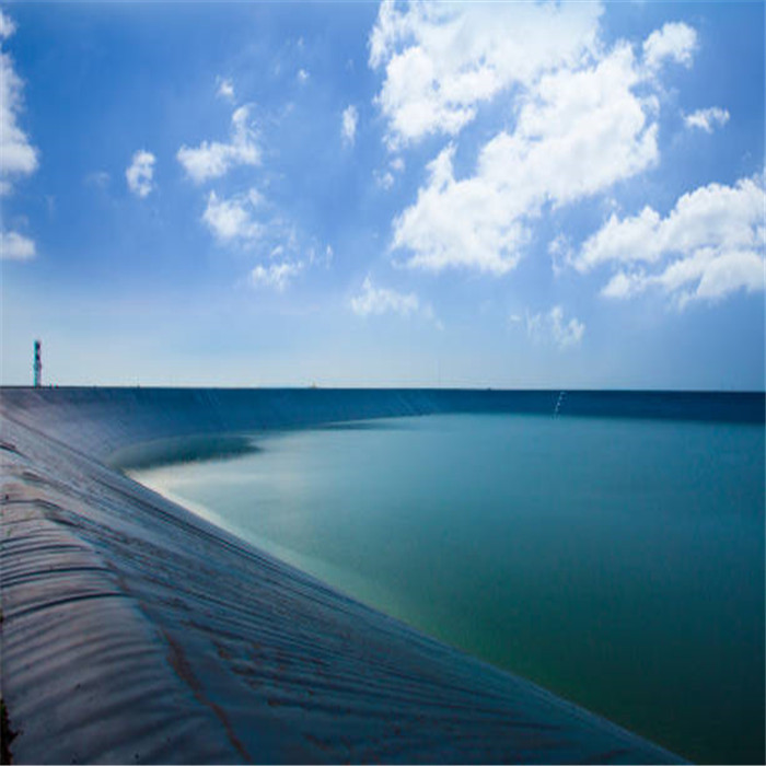 Geomembrane