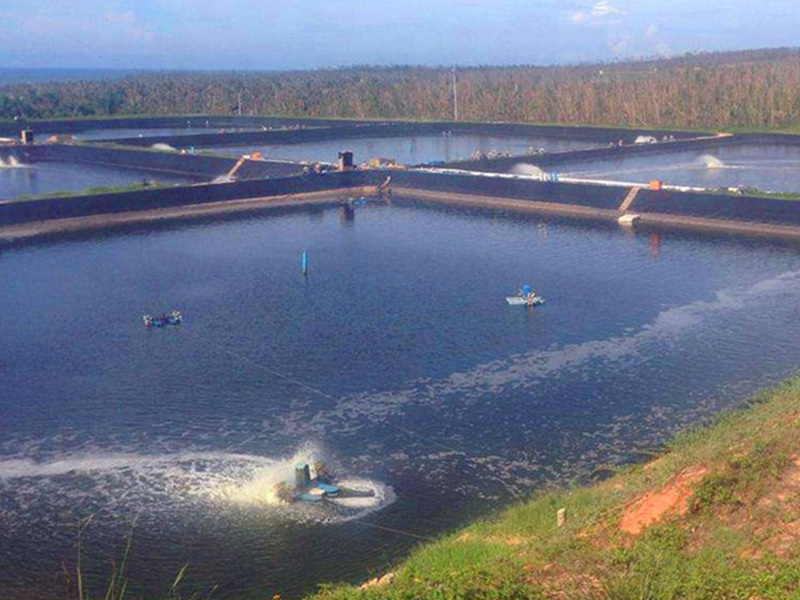 Geomembrane