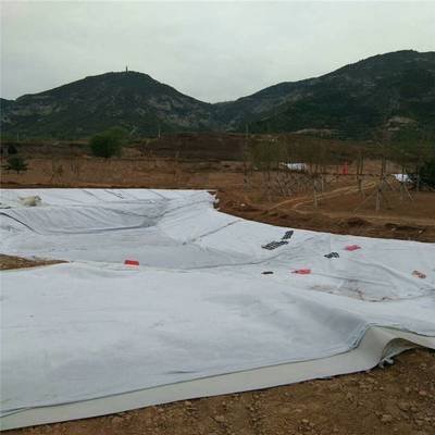 Geotextile