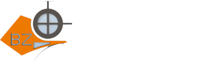 BINGZHI