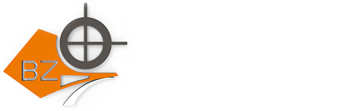 BINGZHI
