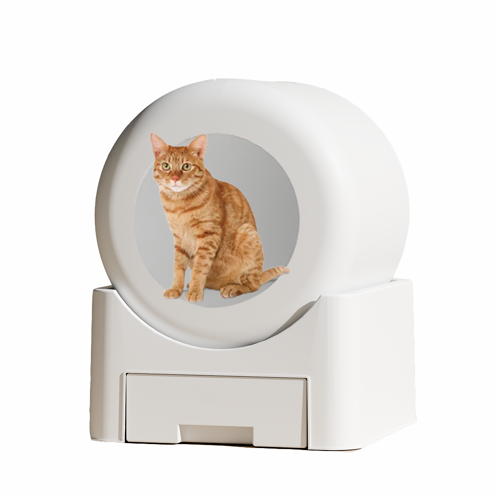 Automatic cat litter box DDY