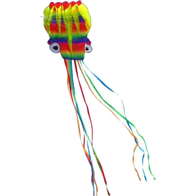 5m Colorful Soft Octopus Kite