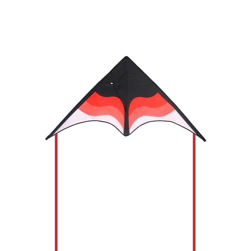 Triangle Kite