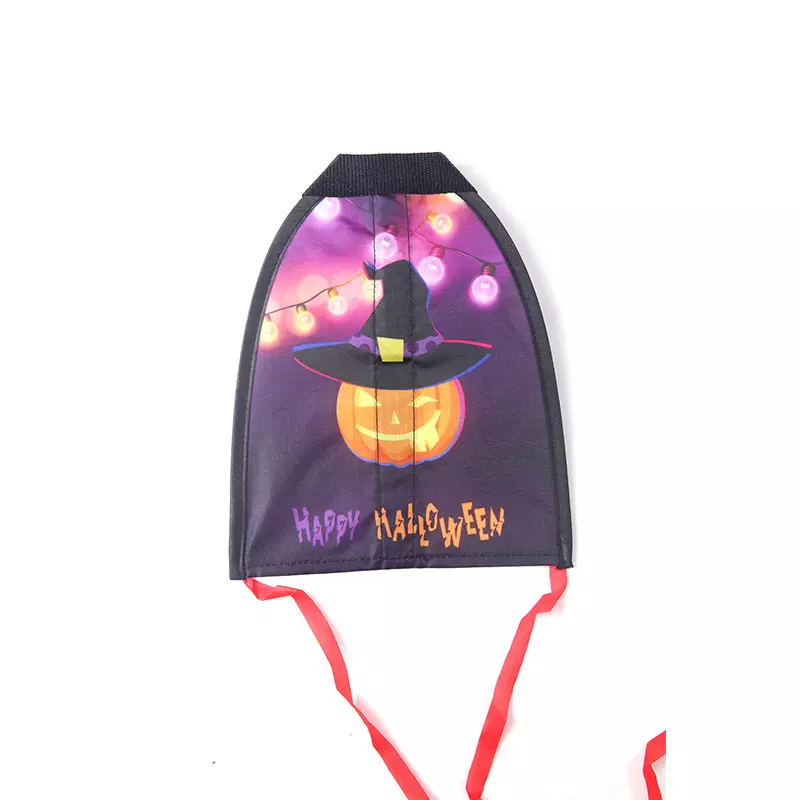 Festival Kite