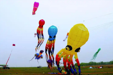 Chinese kites have a long history and superb skills