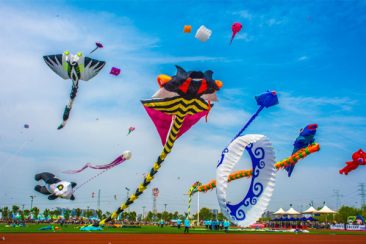 There are various types of sports kites There are various types of sports kites