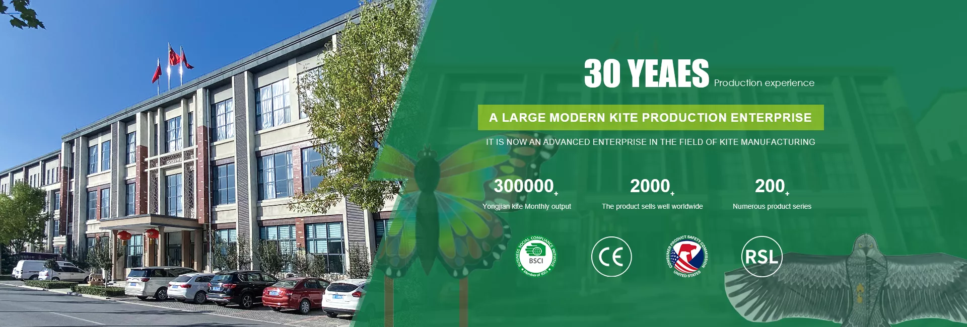 Weifang Yongjian Kite