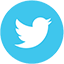 class="share-img twitter"