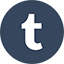class="share-img tumblr"