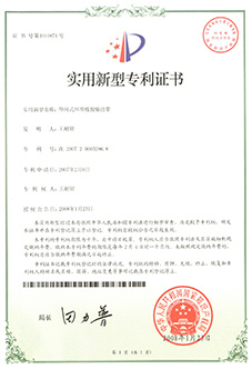 Name of invention patent: Guided endless rubber conveyor belt