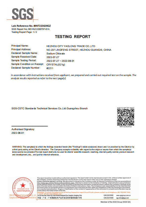 Testing Report