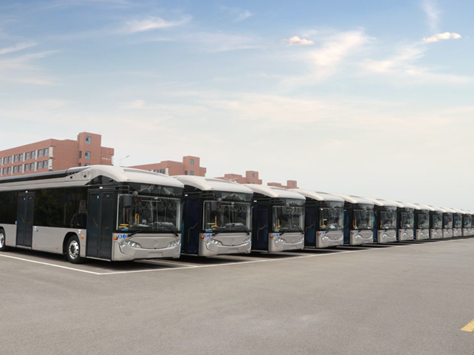 Bus