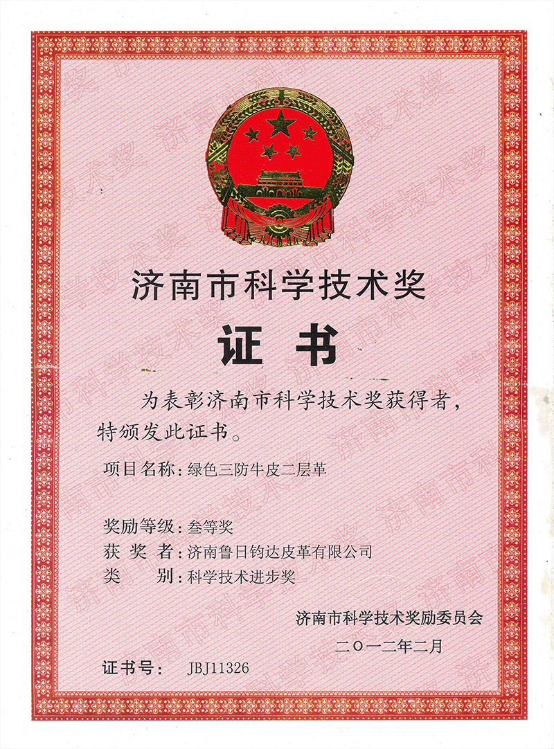 Jinan City Science and Technology Award