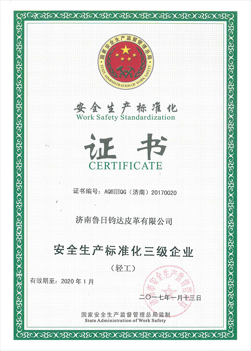 Safety Production Standardization Certificate