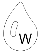 W