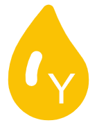 Y