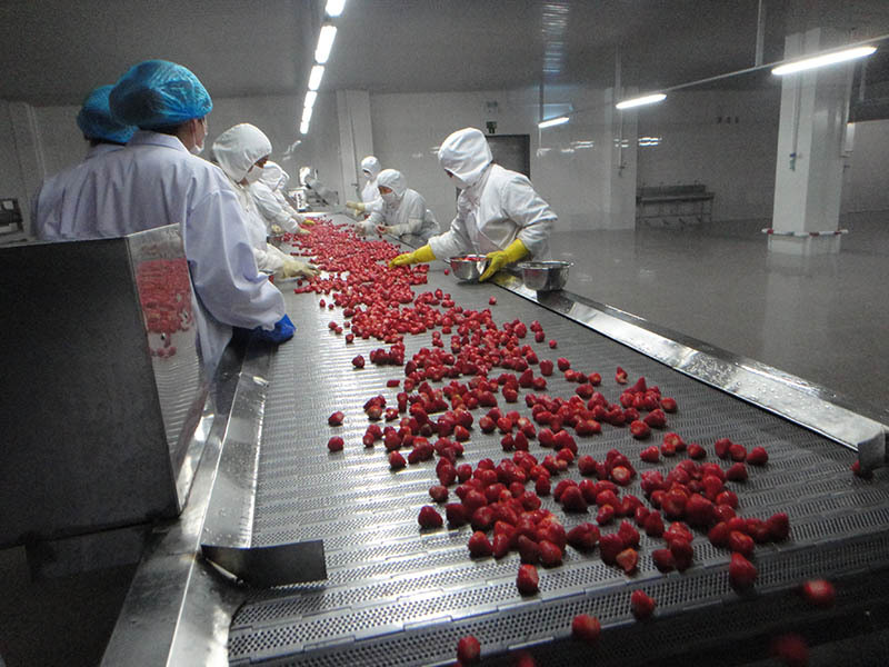 企業(yè)實力