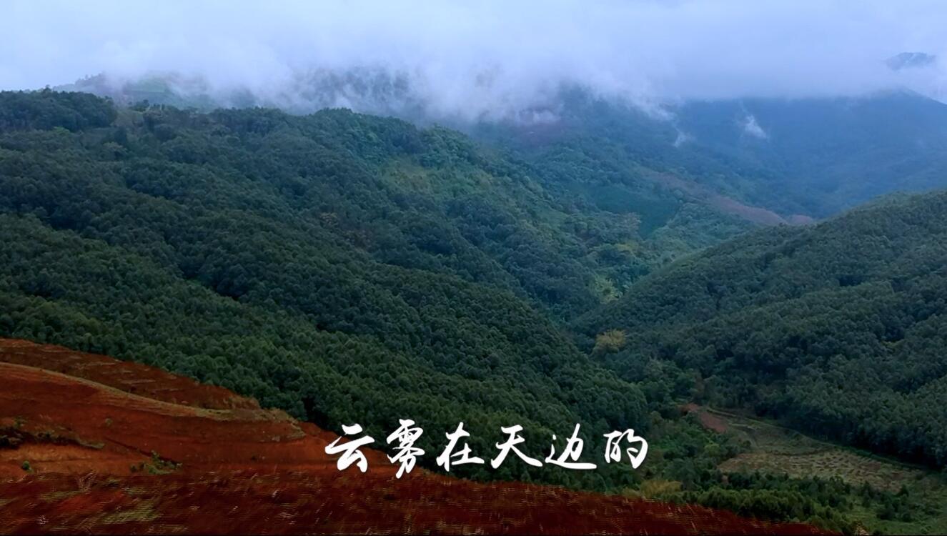 绿色的路(迪思企业之歌) 绿色的路(迪思企业之歌)