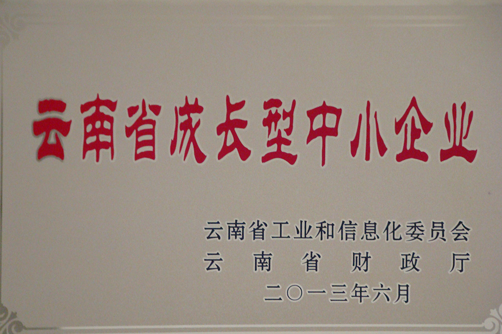 成长型中小企业 成长型中小企业