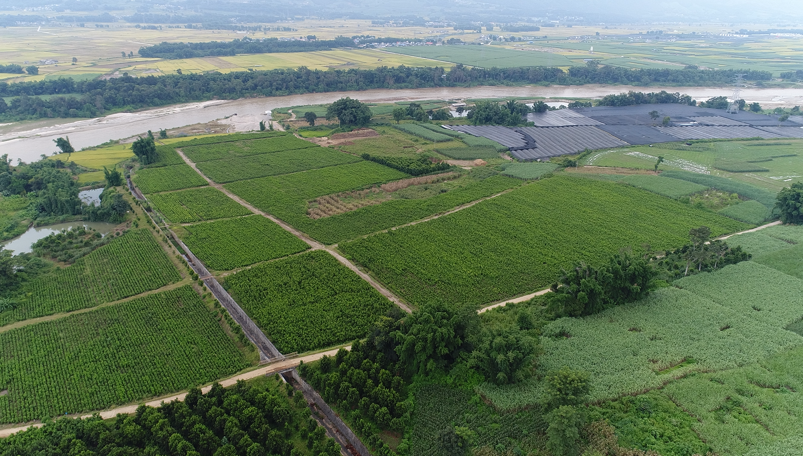 苗圃基地 苗圃基地