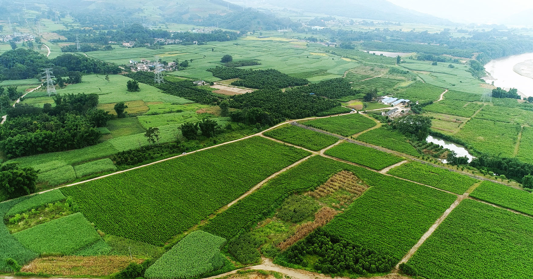 苗圃基地 苗圃基地