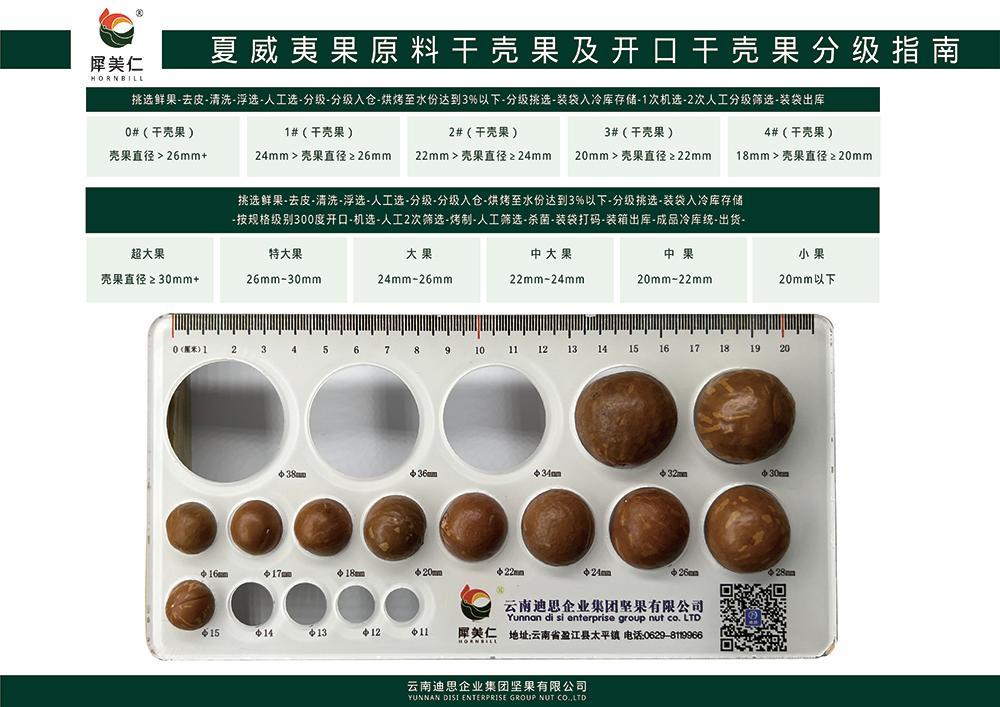 果仁分级表
