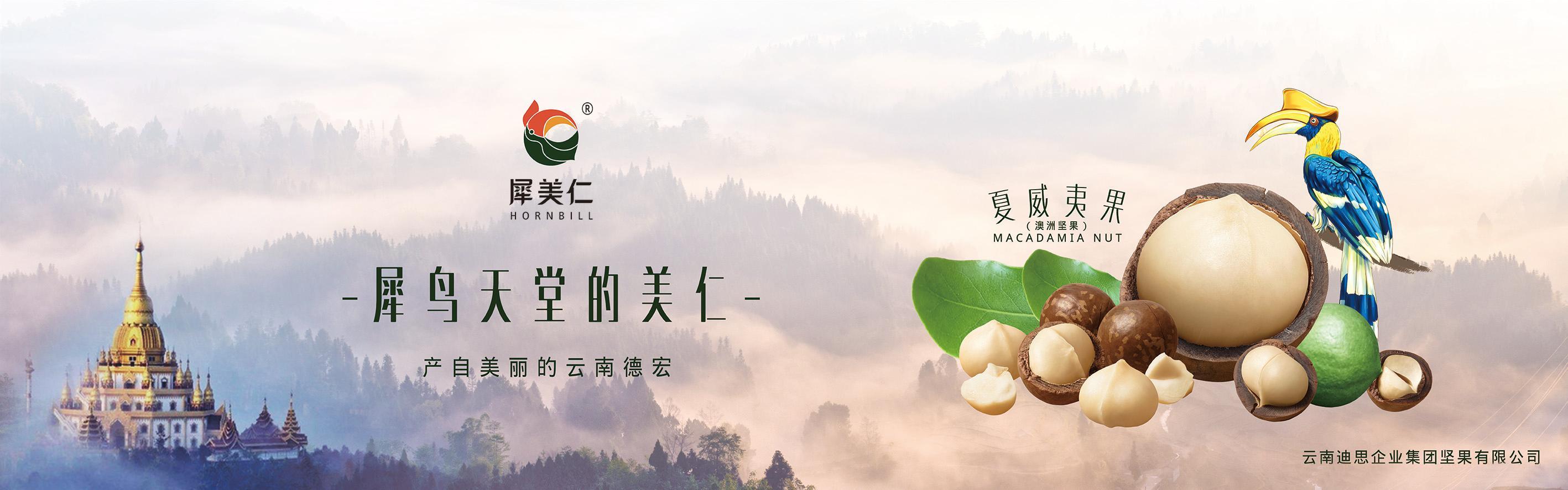 走进迪思 走进迪思